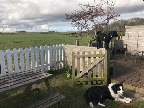 Bridlington's Bolt Hole Chalet