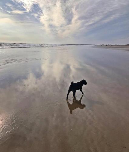 Bridlington's Bolt Hole Chalet