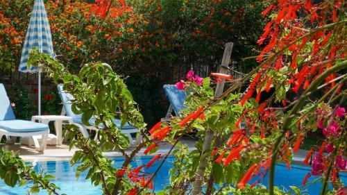Villa Yavuz (�al??)