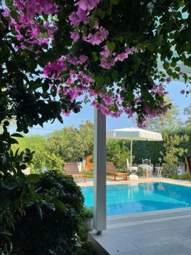 Villa Hera5