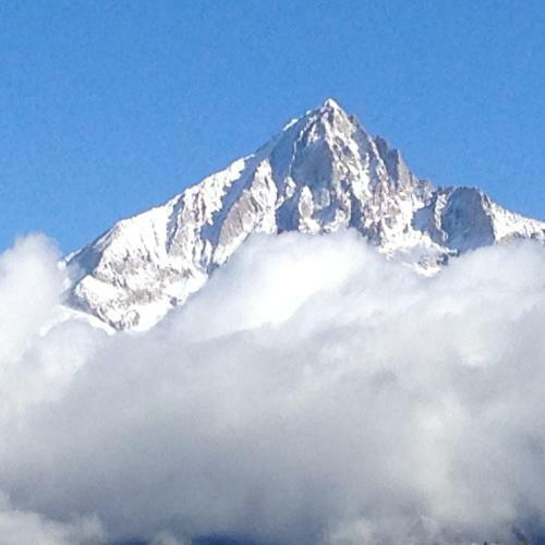 Hotel-restaurant Ronalp