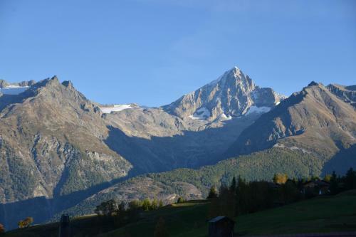 Hotel-restaurant Ronalp
