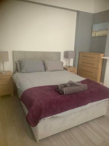 Bright One Bed Apartment
