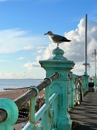 Charming Cottage & Garden - Central Brighton!
