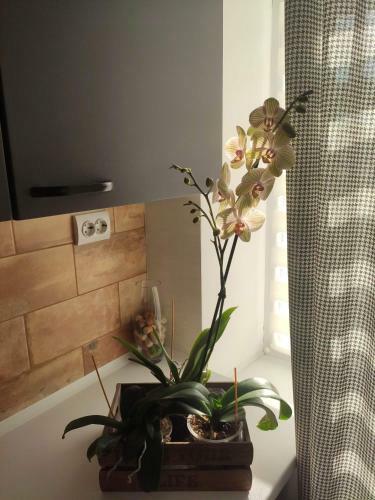 Apartamento Boulevard