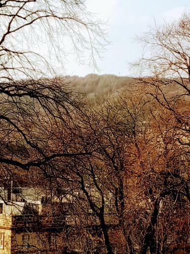 Upper Underwood
