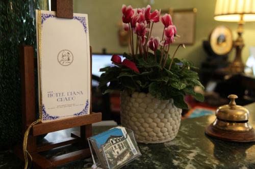Hotel Diana