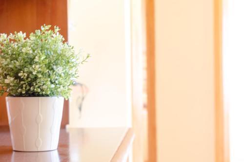 Apartaments La Bonaigua