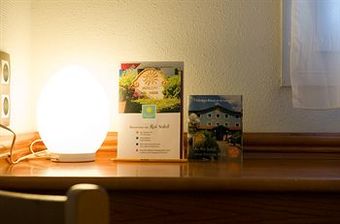 Hotel H�tel Roi Soleil Mulhouse-kingersheim