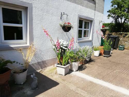 Hostal Newby Cross