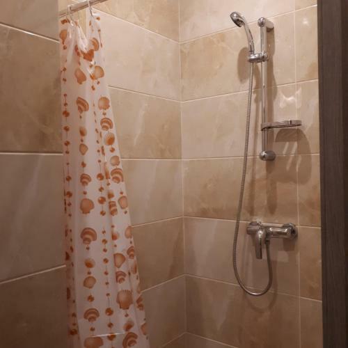 Posada Z-apartments