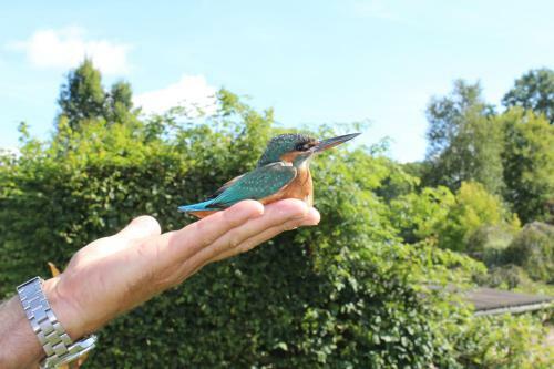 Agroturismo Hewletts Mill