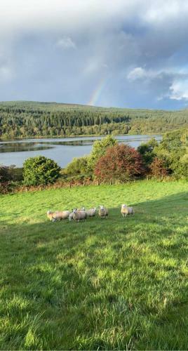 Fauld O Wheat Shepherds Hut , Loch Ken ,off Grid