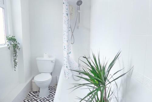 Apartamento Space For Up To 10, 10 Mins From Queen St!