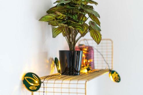 Apartamento The Gatsby - Beautiful Spacious Central House