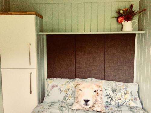 Lodge Mid Wales Luxury Huts