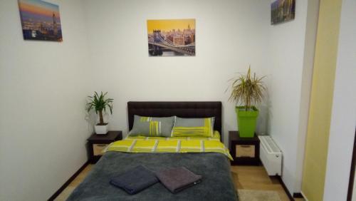 Excellent Studio Apartaments In A Secure Residential Complex Comfort Town 1