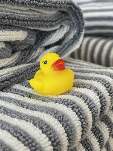 Apartamento Little Haven