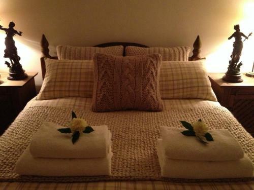 Apartamentos Snowdonia Snug - Studio Style Accommodation