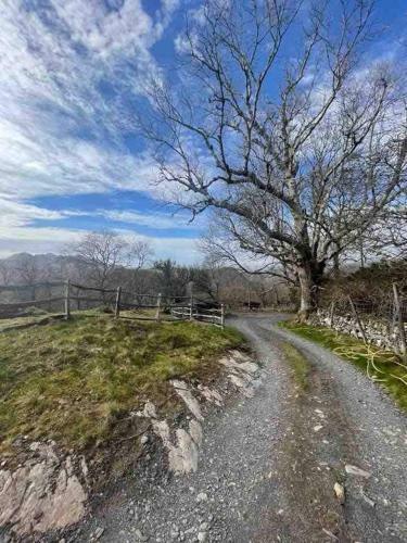Apartamento Pandy Farm - Waen Fechan