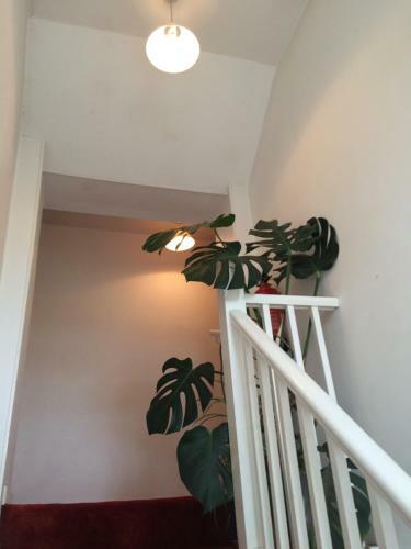 Bed & Breakfast Fern Cottage