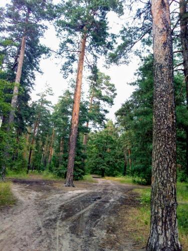 Apartamento Guest House Kiev Forest