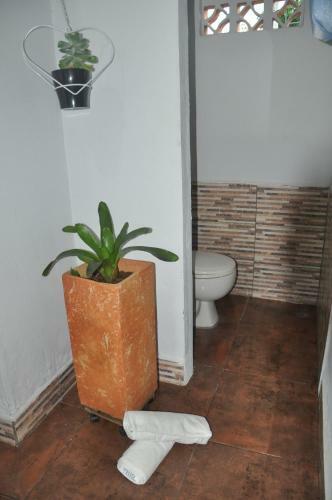 Hostal Mangalobby Finca Hotel