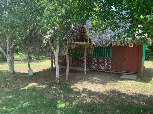 Suipino Ayahuasca Retreat Center