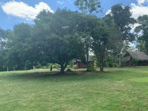 Suipino Ayahuasca Retreat Center