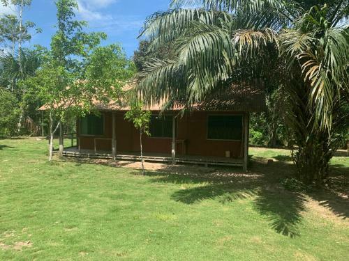 Suipino Ayahuasca Retreat Center