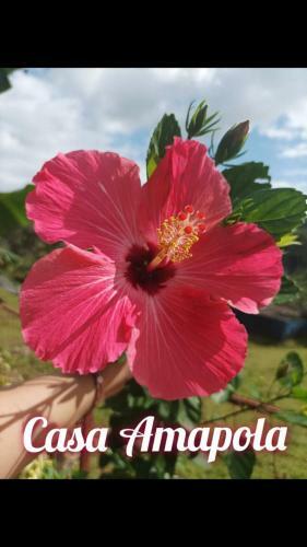 Casa de Monta�a Amapola