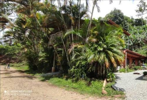 Apartamento Caba�a Valcha