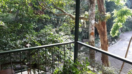 Apartamento Casa Escondida #1 ( Jungle View )
