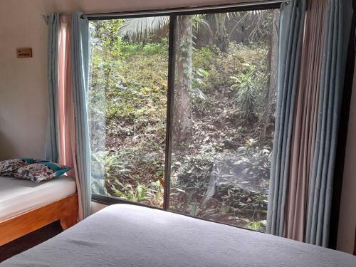 Apartamento Casa Escondida #1 ( Jungle View )