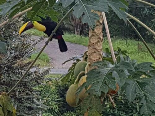 Agroturismo Yellow House
