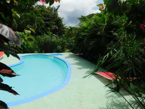 Villas Jungle 5