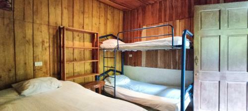 Albergue Cabinas Lilliana