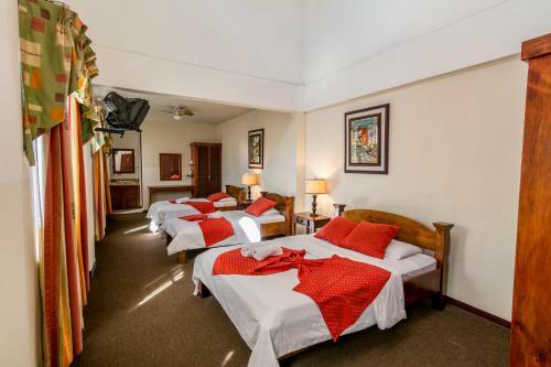 Hotel Am�n Real