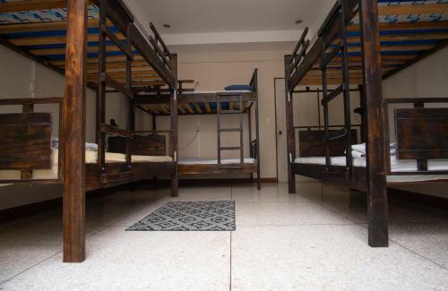 Stray Cat Hostel