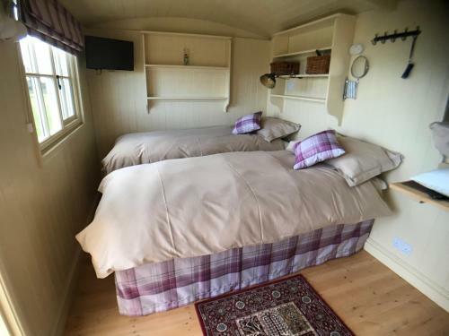 The Hawthorn Shepherds Hut