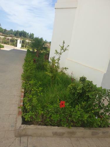Apartamento La Rose D,appartement