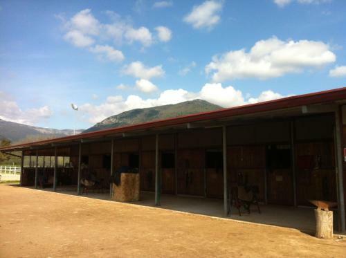 Bed & Breakfast Casal Dei Papi