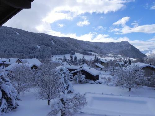 Hotel H�tel Des Skieurs