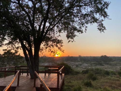Lodge Manukuza Wilderness