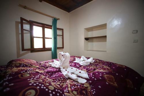 Bed & Breakfast Auberge Jaafar