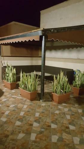 Apartamento Les Jardins