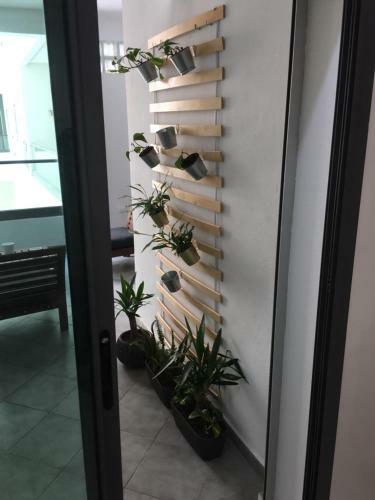 Apartamento Appartement Miramar