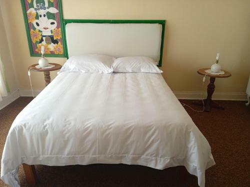 Hostal Golden Elephant Guest House