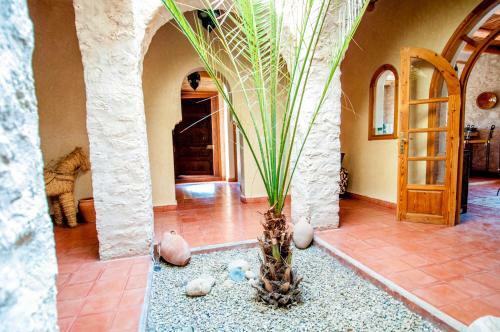 Villa Dar Zinzin