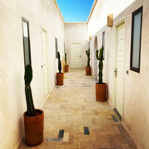 Bed & Breakfast La Villa Sauvage